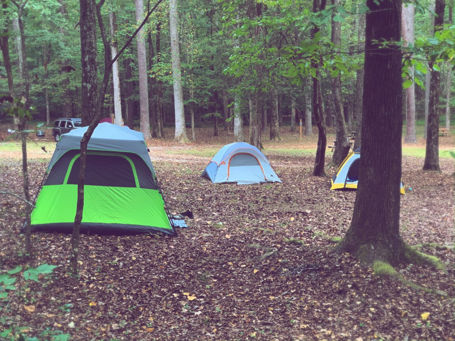 Camping | Alapark