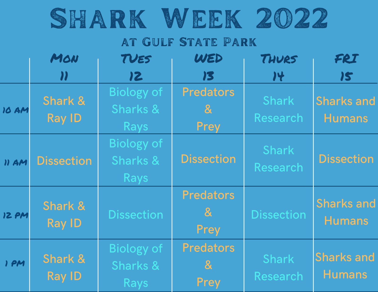 Shark Week! Alapark