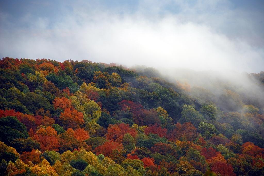 Monte Sano State Park Fall Foliage