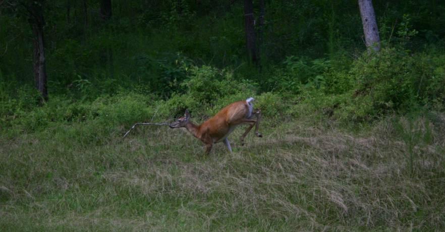 Lakepoint Hiking/Trails
