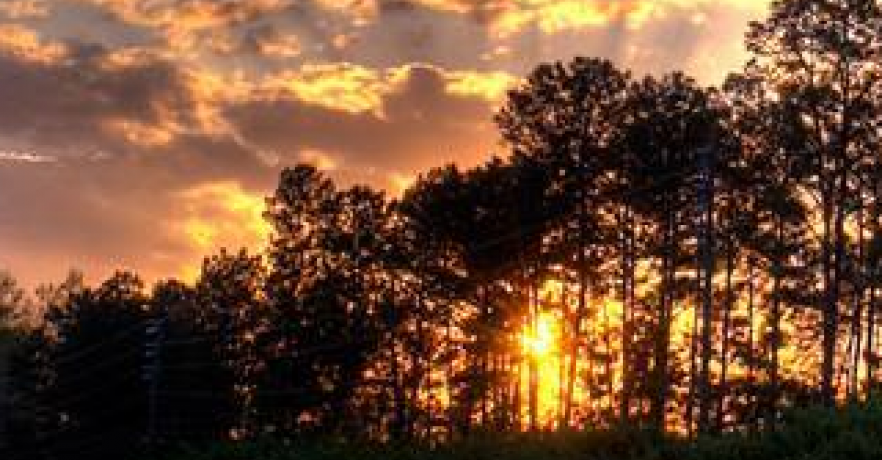 Lakepoint Hiking/Trails