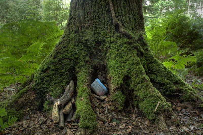 Chewacla State Park Geocaching