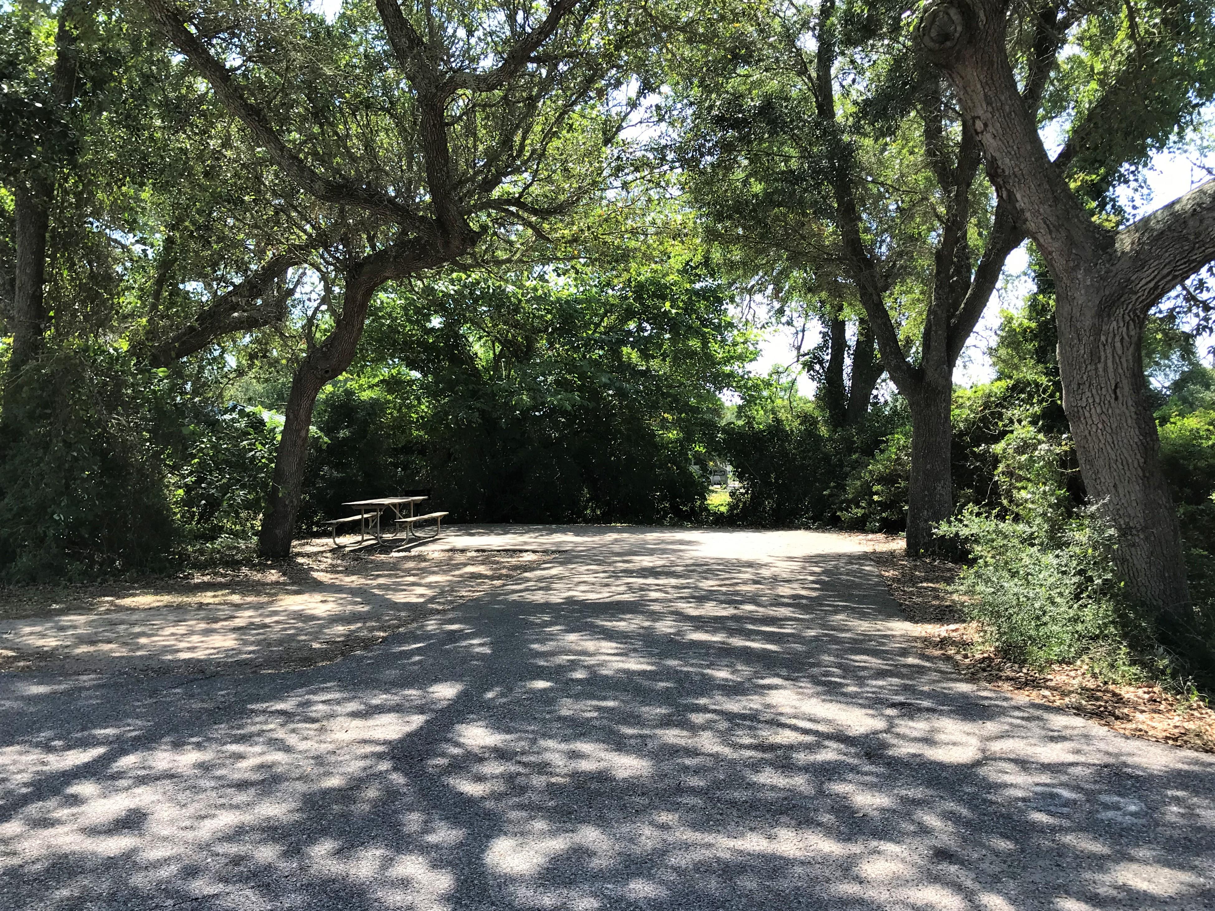 Gulf State Park Campground Empty Site With Trees