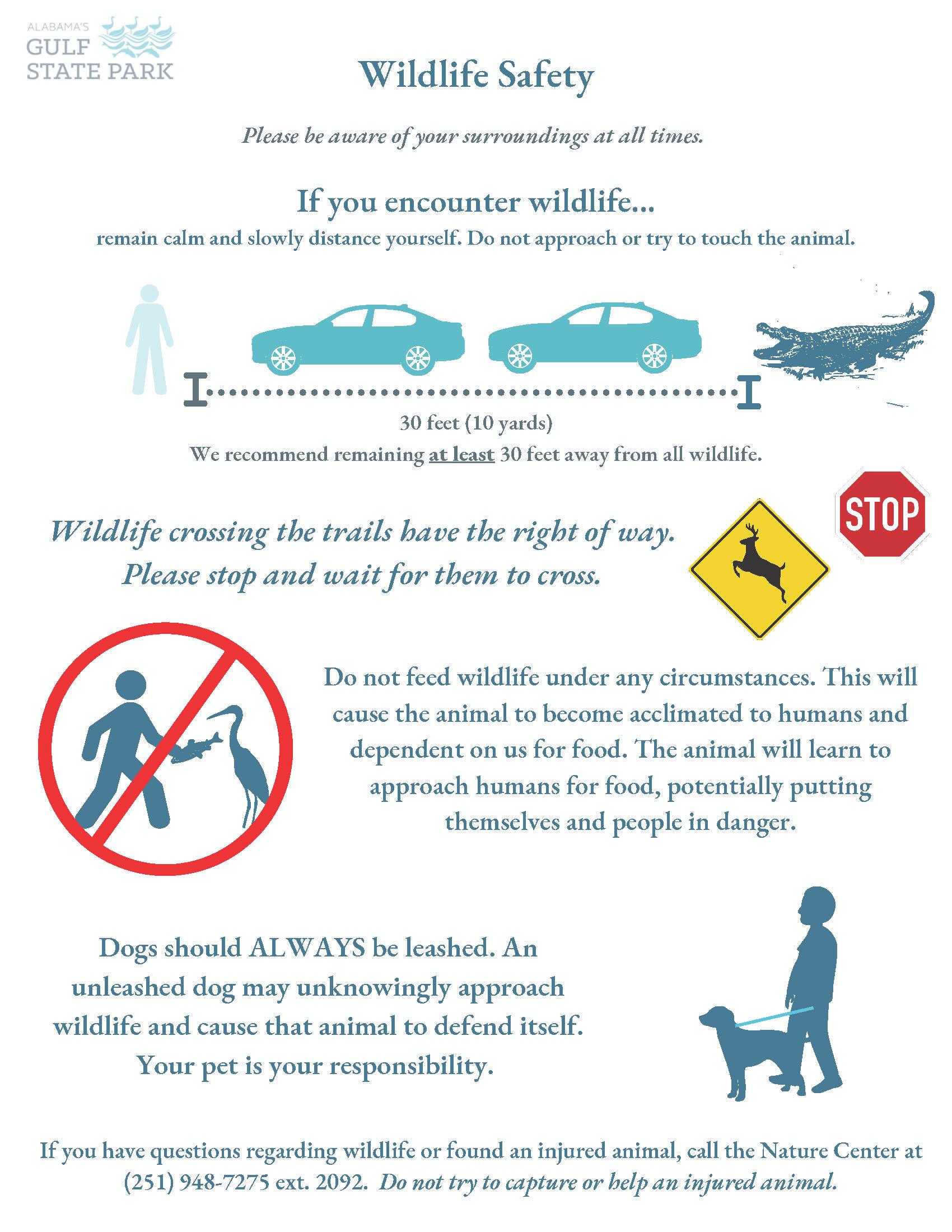 Wildlife Safety Flyer With Information on Encountering Wildlife
